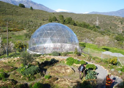 Geodesic Dome Greenhouse 1
