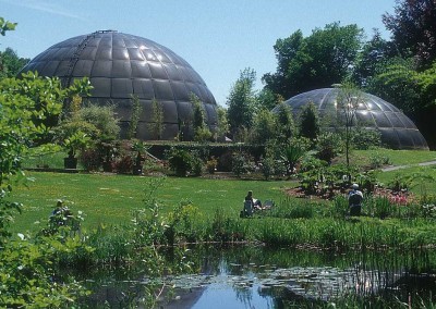 Geodesic Dome Greenhouse 3