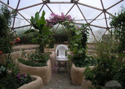 Geodesic Dome Greenhouse Interior 2
