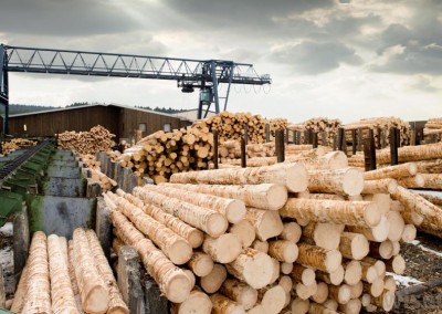 Sawmill Lumber Yard