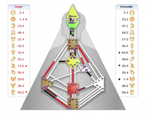 Kirk Nielsen Human Design Chart