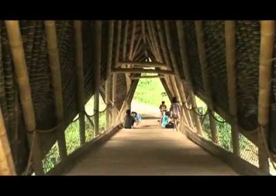 Bamboo Walkway