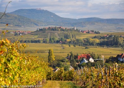 European Village Zellenberg Ht Koenigsbourg