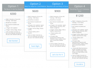 New Website Pricing table