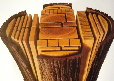 Lumber from tree